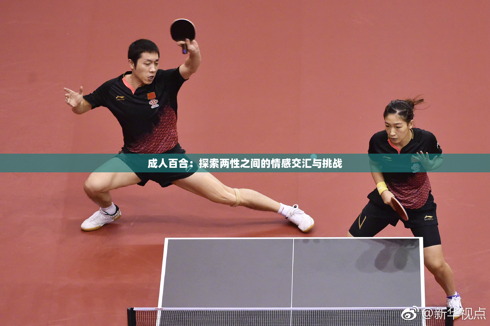 成人百合：探索两性之间的情感交汇与挑战