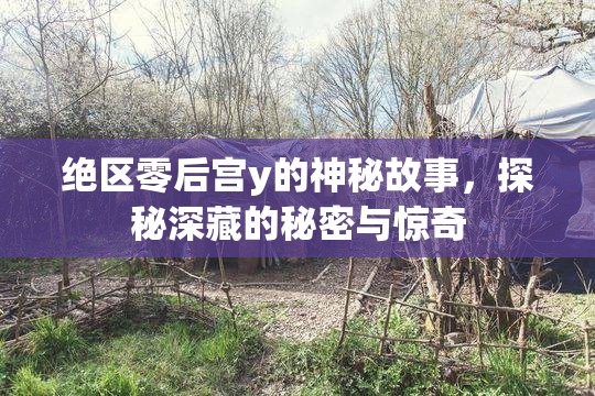 绝区零后宫y的神秘故事，探秘深藏的秘密与惊奇