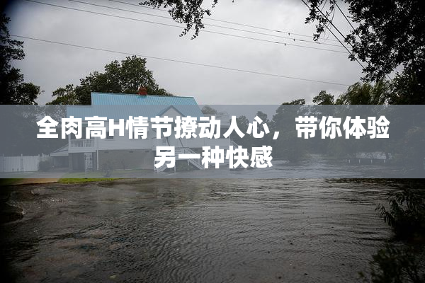 全肉高H情节撩动人心，带你体验另一种快感