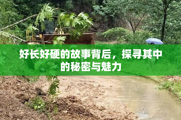 好长好硬的故事背后，探寻其中的秘密与魅力
