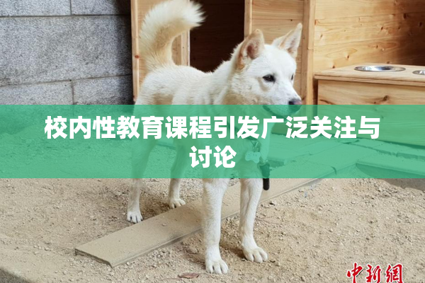 校内性教育课程引发广泛关注与讨论