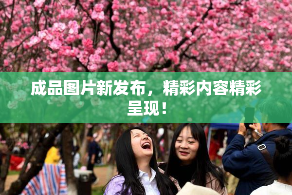 成品图片新发布，精彩内容精彩呈现！