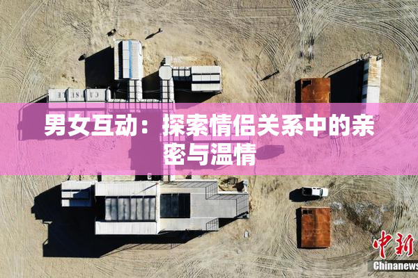 男女互动：探索情侣关系中的亲密与温情