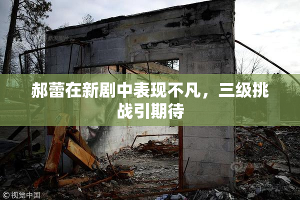 郝蕾在新剧中表现不凡，三级挑战引期待
