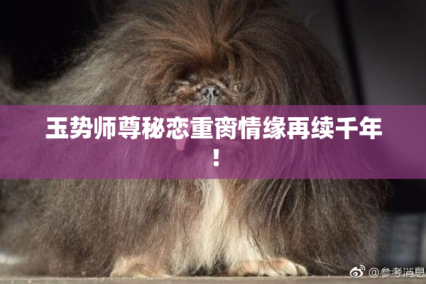 玉势师尊秘恋重脔情缘再续千年！
