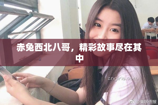 赤兔西北八哥，精彩故事尽在其中