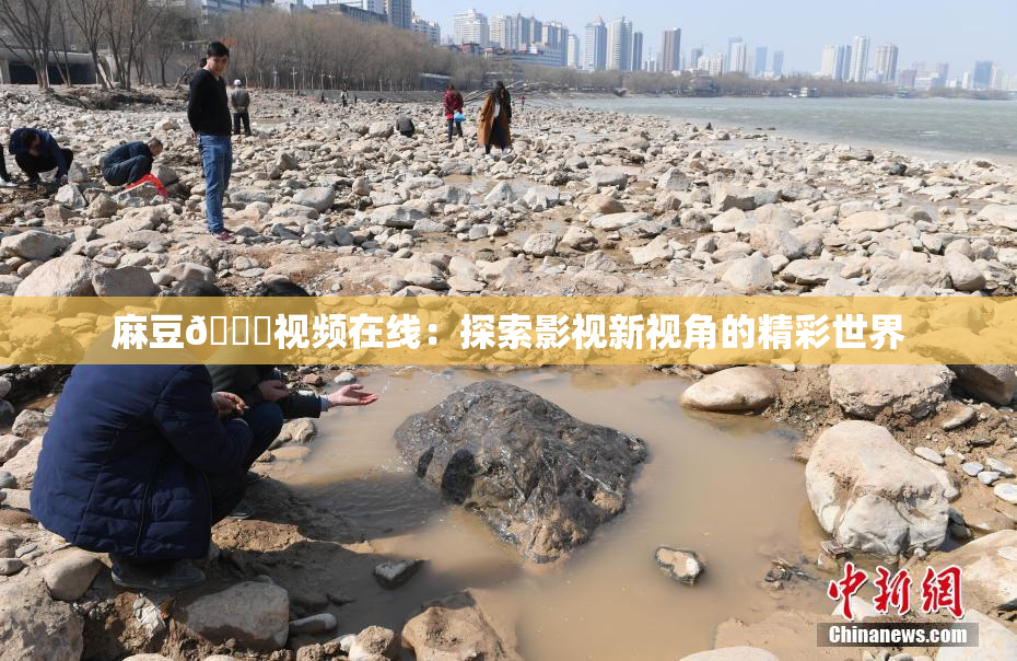 麻豆🔞视频在线：探索影视新视角的精彩世界