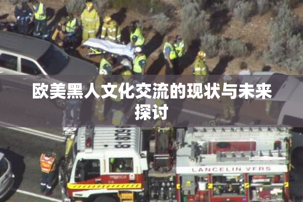 欧美黑人文化交流的现状与未来探讨