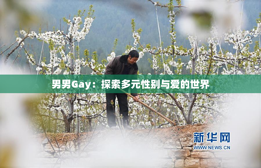男男Gay：探索多元性别与爱的世界