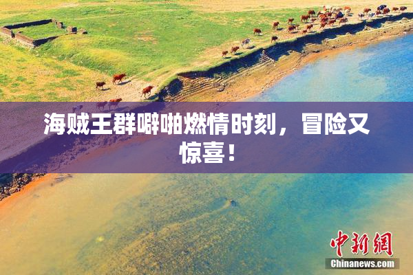 海贼王群噼啪燃情时刻，冒险又惊喜！
