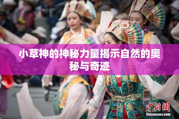 小草神的神秘力量揭示自然的奥秘与奇迹