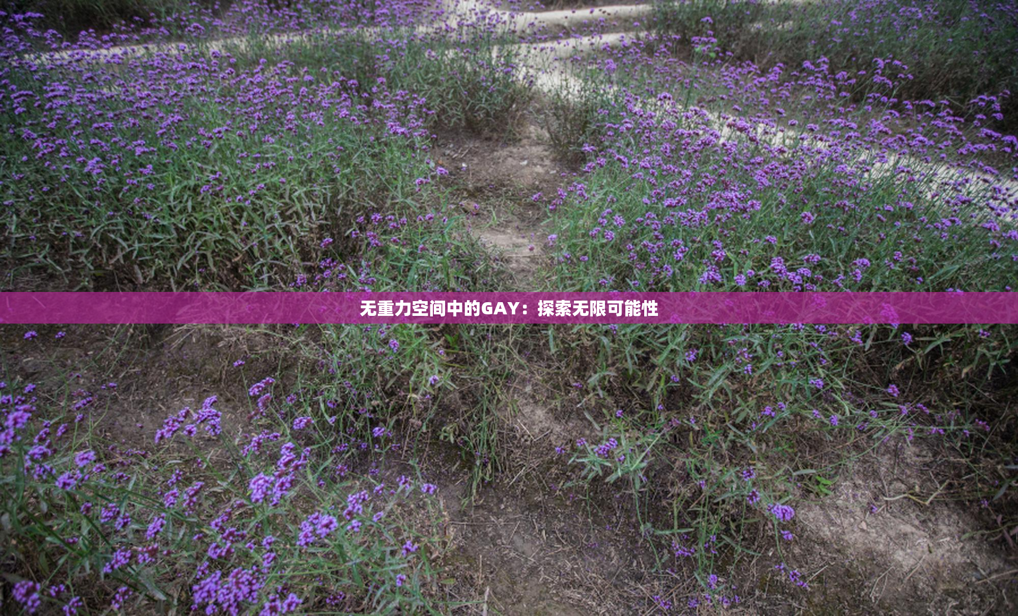 无重力空间中的GAY：探索无限可能性