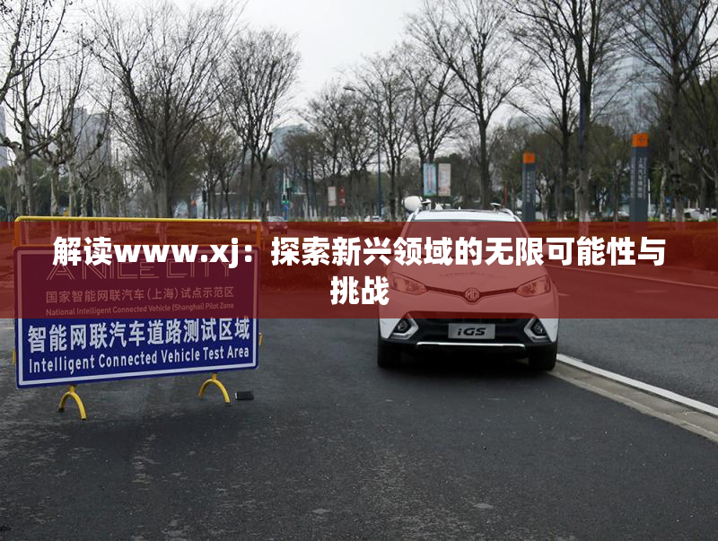 解读www.xj：探索新兴领域的无限可能性与挑战