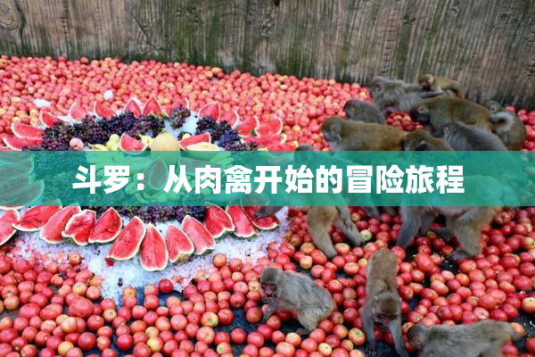 斗罗：从肉禽开始的冒险旅程