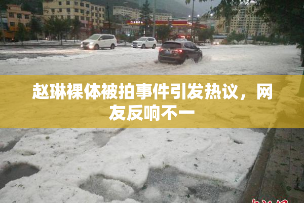 赵琳裸体被拍事件引发热议，网友反响不一