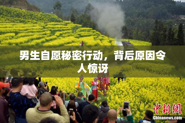 男生自愿秘密行动，背后原因令人惊讶