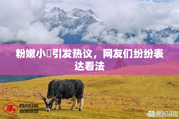 粉嫩小泬引发热议，网友们纷纷表达看法
