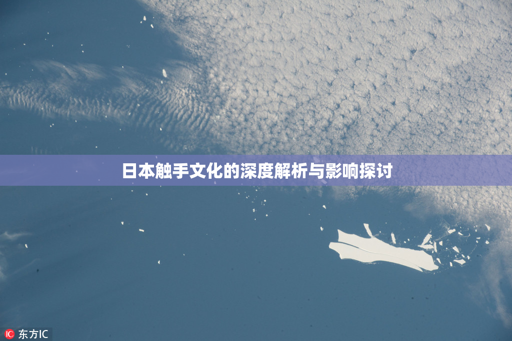日本触手文化的深度解析与影响探讨