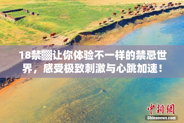 18禁▓让你体验不一样的禁忌世界，感受极致刺激与心跳加速！