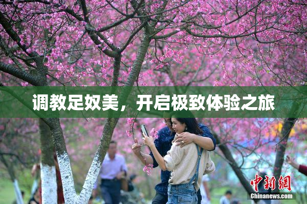 调教足奴美，开启极致体验之旅