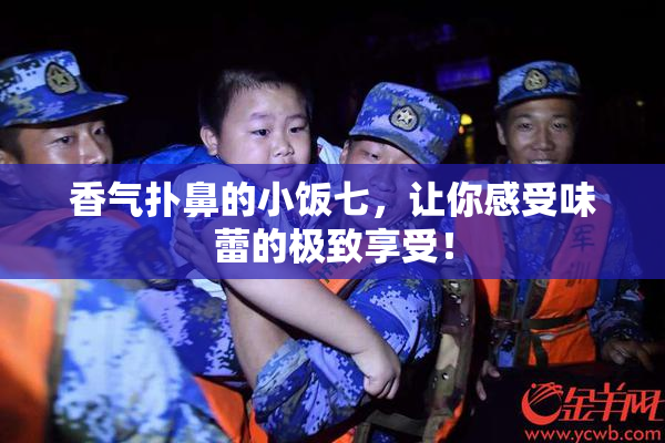 香气扑鼻的小饭七，让你感受味蕾的极致享受！
