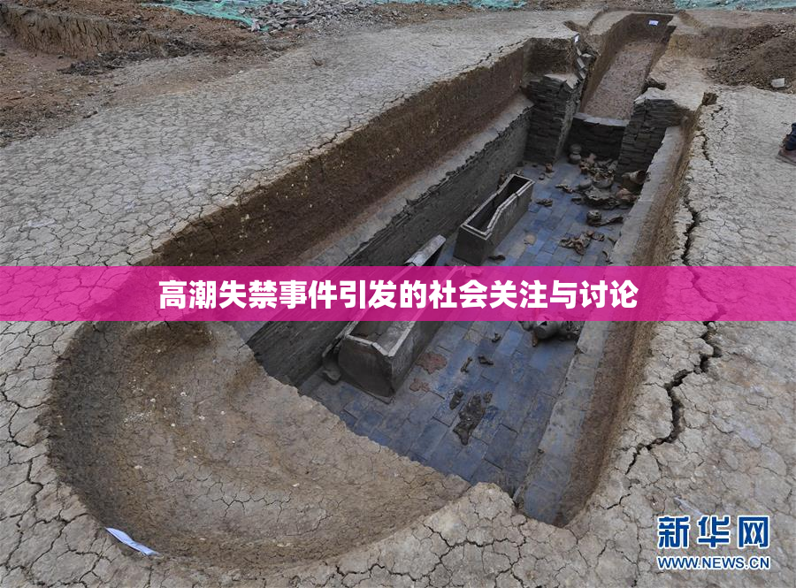高潮失禁事件引发的社会关注与讨论