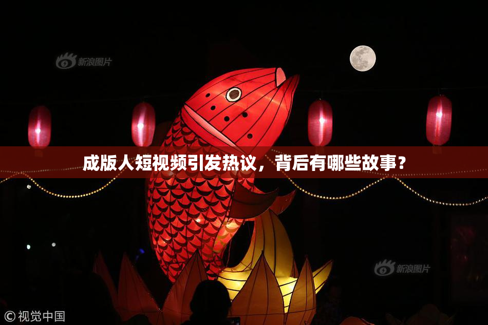 成版人短视频引发热议，背后有哪些故事？