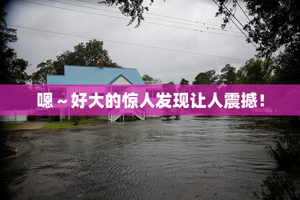 嗯～好大的惊人发现让人震撼！