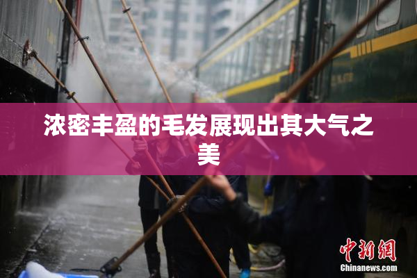 浓密丰盈的毛发展现出其大气之美