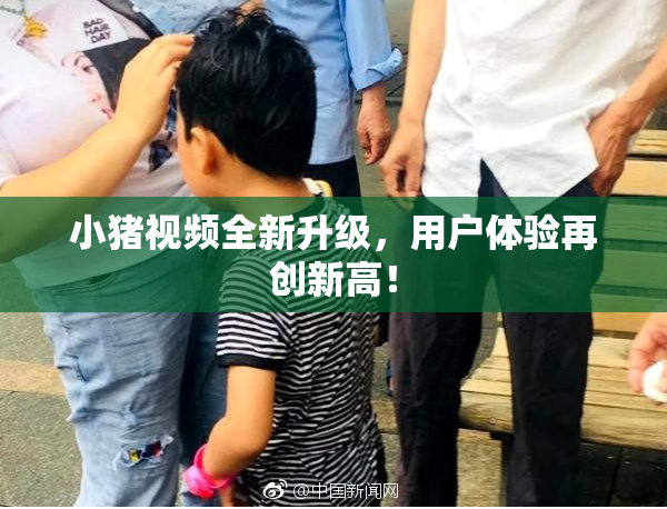 小猪视频全新升级，用户体验再创新高！