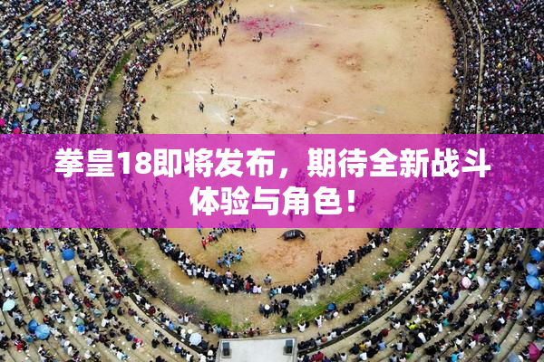 拳皇18即将发布，期待全新战斗体验与角色！