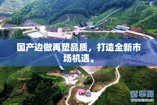 国产边做再塑品质，打造全新市场机遇。