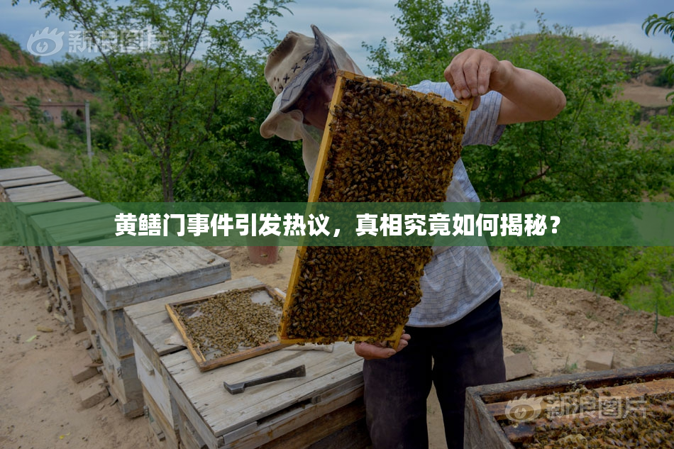 黄鳝门事件引发热议，真相究竟如何揭秘？
