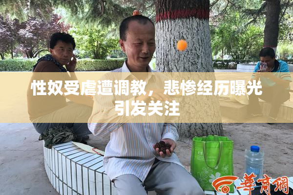 性奴受虐遭调教，悲惨经历曝光引发关注