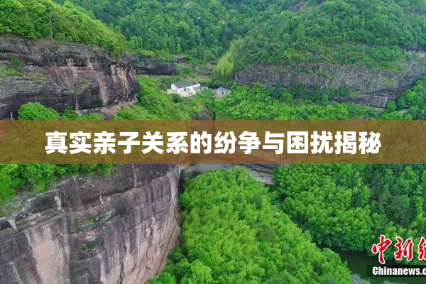 真实亲子关系的纷争与困扰揭秘
