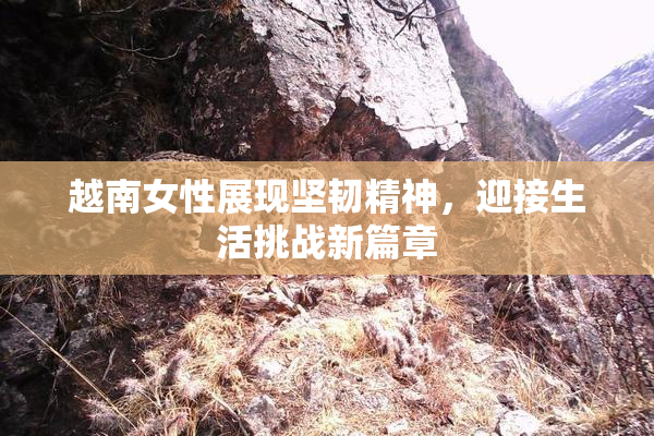 越南女性展现坚韧精神，迎接生活挑战新篇章