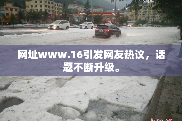 网址www.16引发网友热议，话题不断升级。