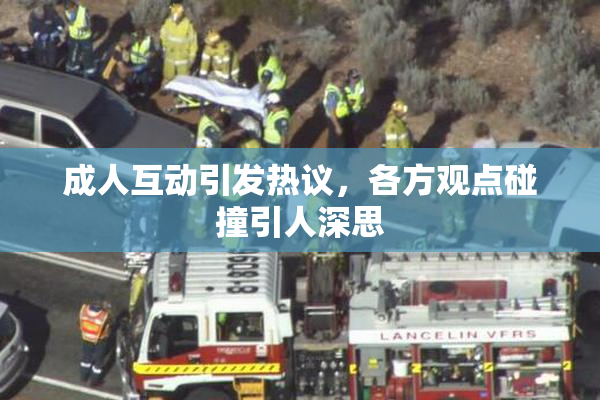 成人互动引发热议，各方观点碰撞引人深思