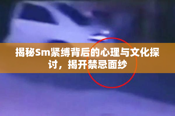 揭秘Sm紧缚背后的心理与文化探讨，揭开禁忌面纱