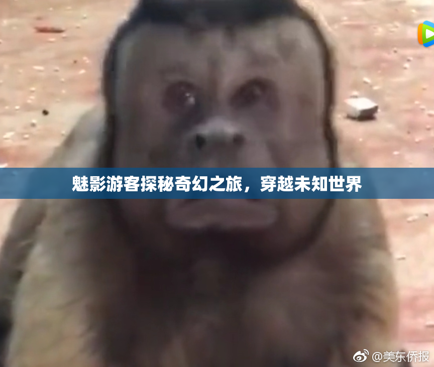 魅影游客探秘奇幻之旅，穿越未知世界
