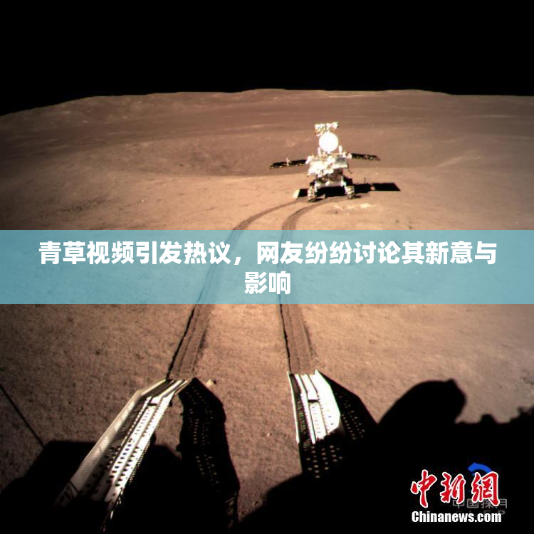 青草视频引发热议，网友纷纷讨论其新意与影响