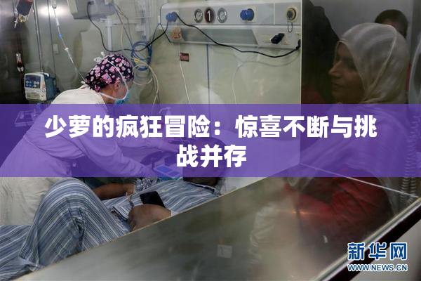 少萝的疯狂冒险：惊喜不断与挑战并存