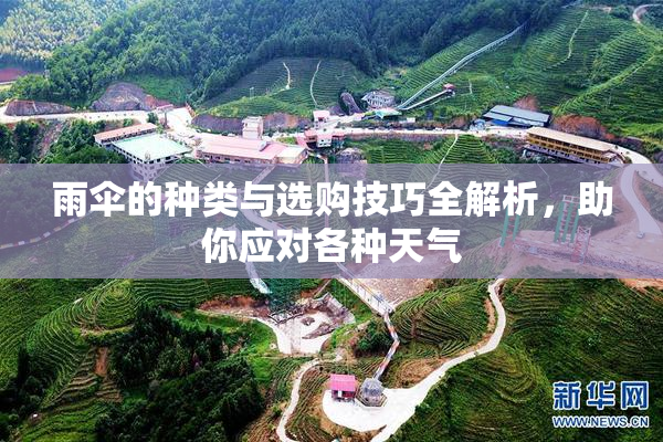 雨伞的种类与选购技巧全解析，助你应对各种天气