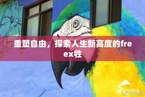 重塑自由，探索人生新高度的freex牲