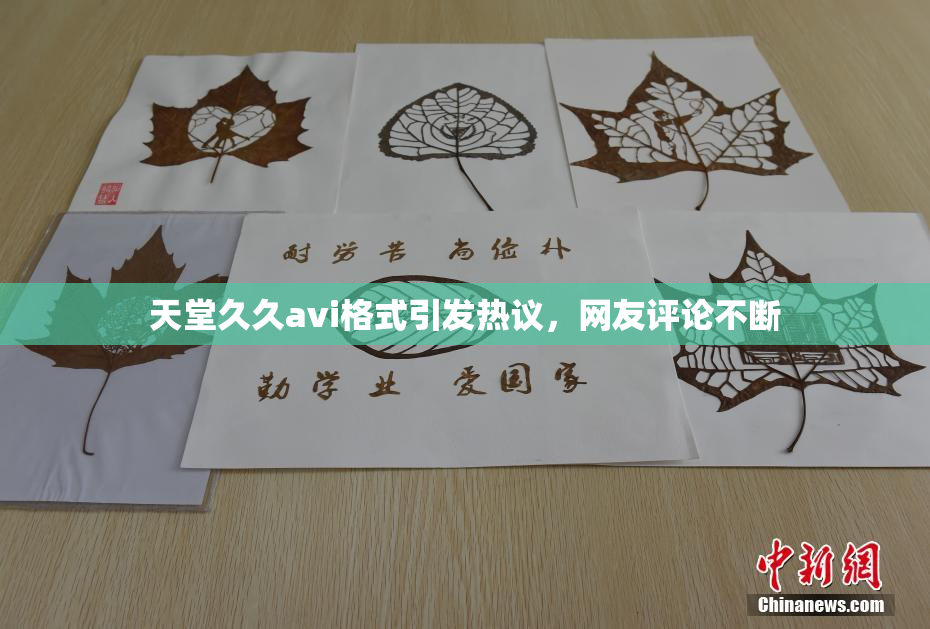 天堂久久avi格式引发热议，网友评论不断