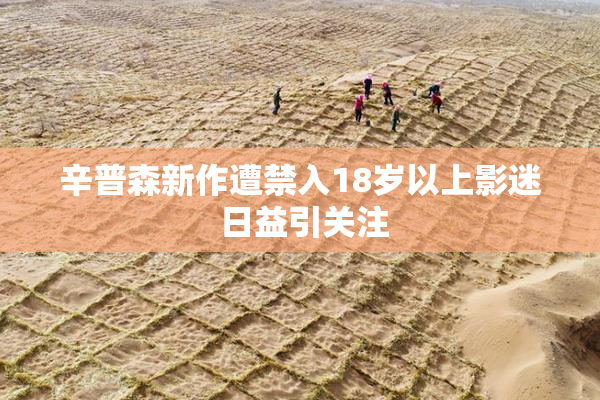 辛普森新作遭禁入18岁以上影迷 日益引关注