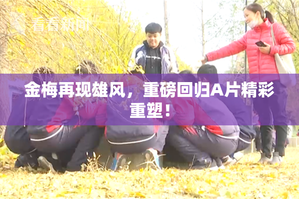 金梅再现雄风，重磅回归A片精彩重塑！
