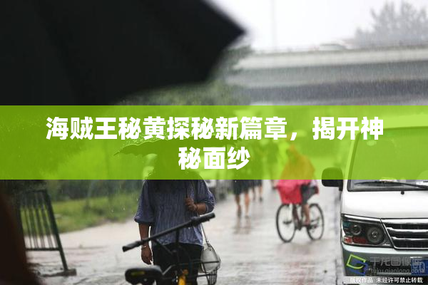 海贼王秘黄探秘新篇章，揭开神秘面纱