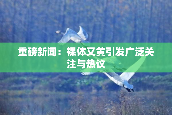 重磅新闻：裸体又黄引发广泛关注与热议