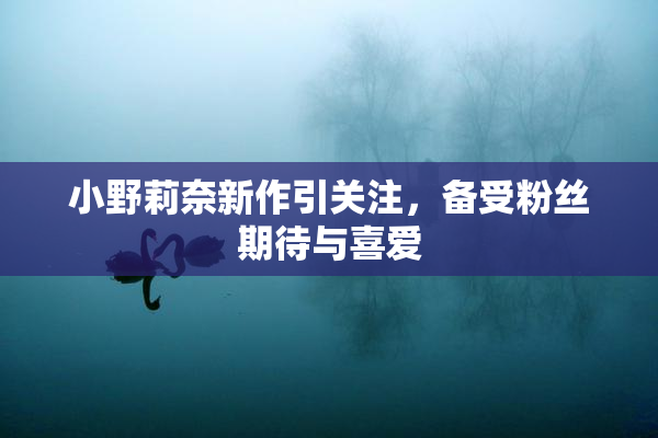 小野莉奈新作引关注，备受粉丝期待与喜爱